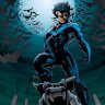 Nightwing213